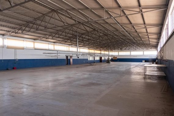 PHOTO-2025-07-28-15-47-03 (1)