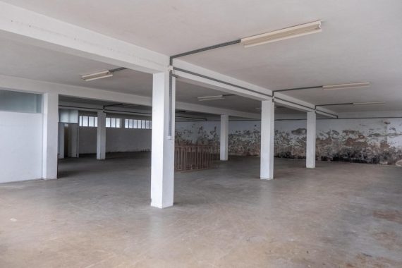 PHOTO-2025-07-28-15-47-04 (1)