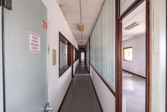 PHOTO-2025-07-28-15-47-05 (3)