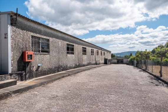 PHOTO-2025-07-28-15-47-12 (1)