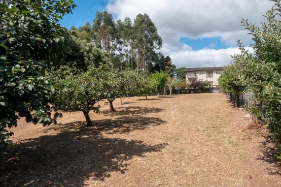 PHOTO-2025-07-28-15-47-18 (1)